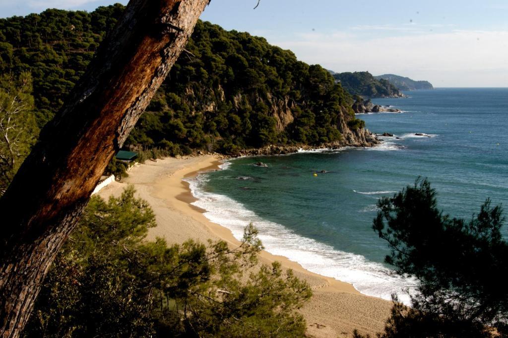 Apartments Lloret Sun يوريت دي مار المظهر الخارجي الصورة